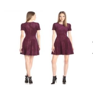 BCBG MaxAzria Darra Faux Suede Dress in Bordeaux